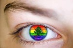 مراقبة وسائل الإعلام المثليين اللبناني