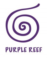 Violet Organisation Reef