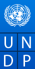 Programme de développement des Nations Unies