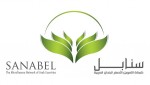 سنابل - شبكة التمويل الأصغر للدول العربية