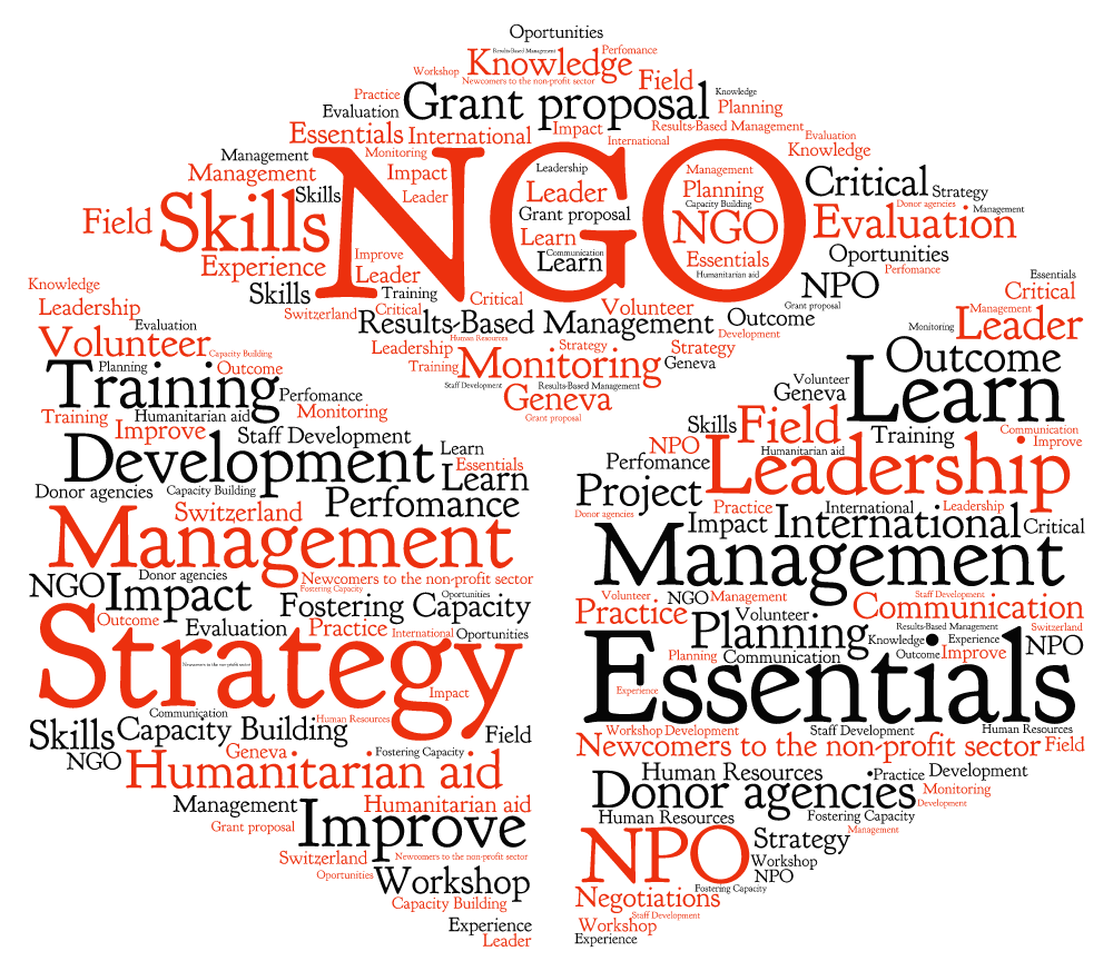 Why You Should Consider Working for an NGO | arab.org
